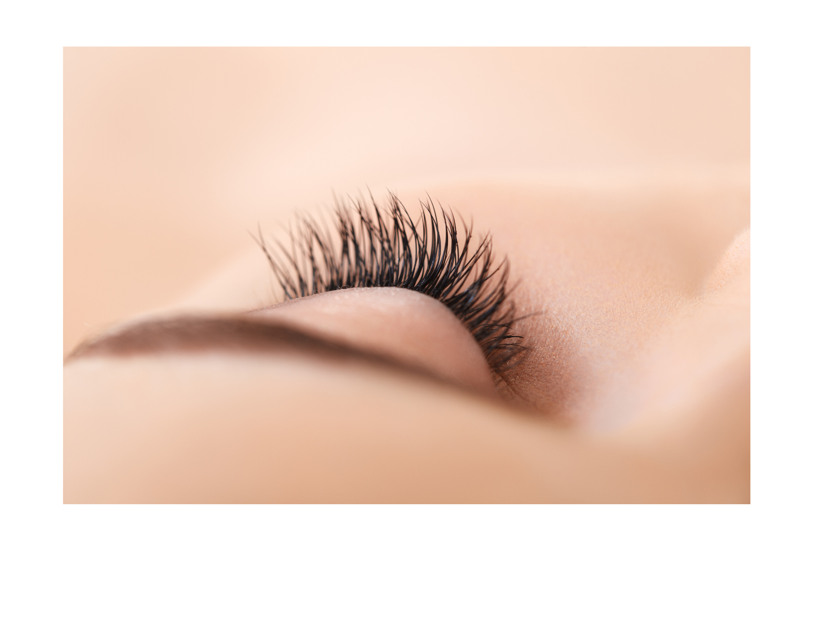 Understanding the Process of Lash Growth